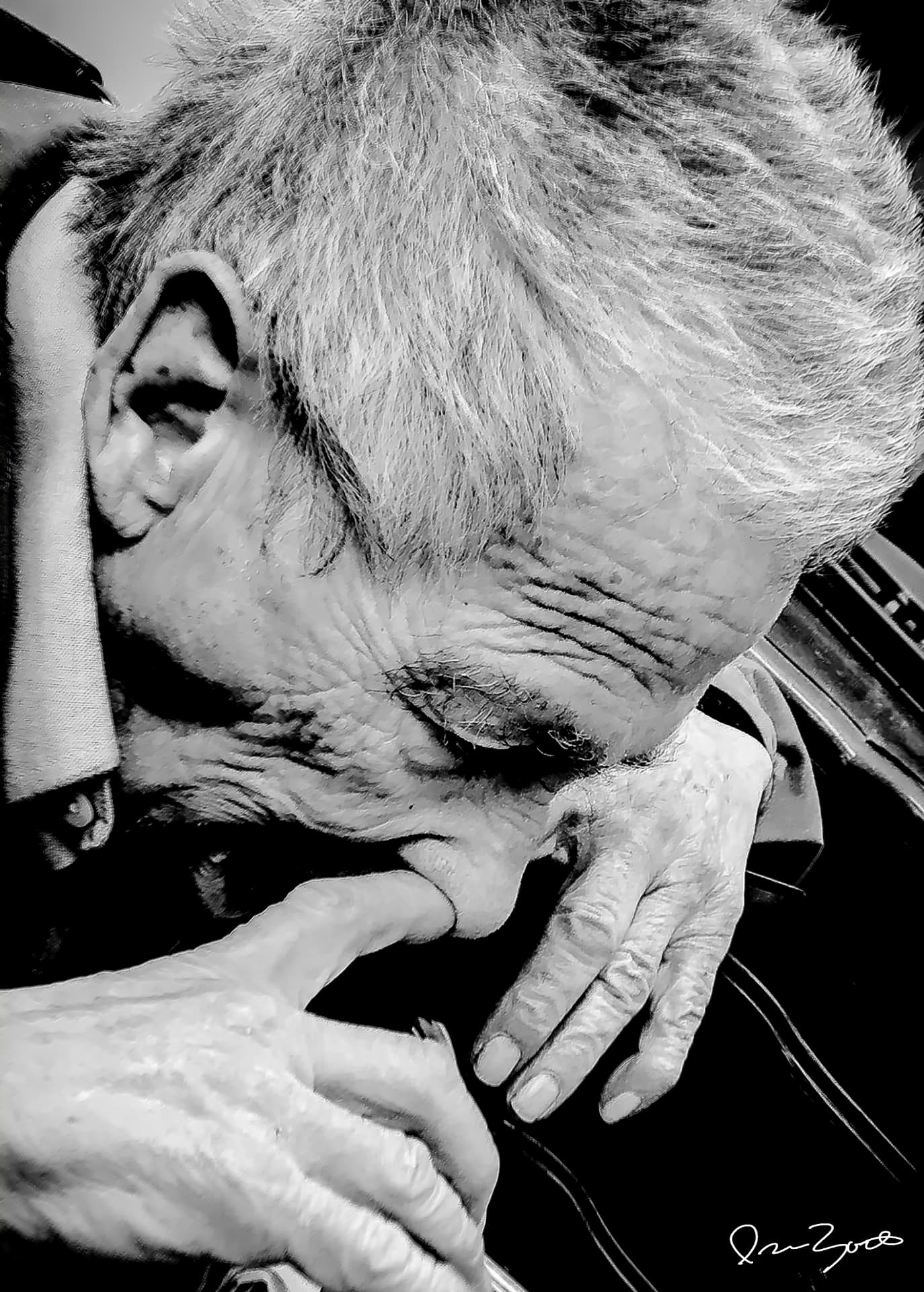 Black and white overhead photograph of an elderly man with white hair, head bowed, one hand at his brow.