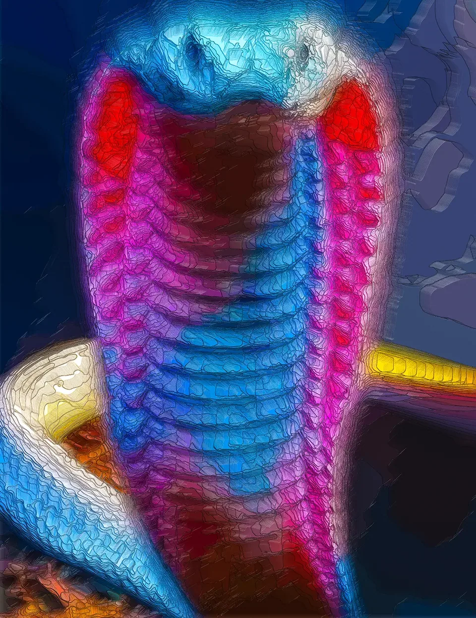 Digital painting of a reared king cobra with magenta and blue contour-line scales against a dark navy background.