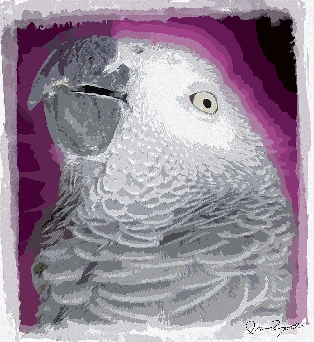 Digital painting portrait of an African grey parrot in grey and white posterised feather strokes against arcs of magenta and plum.