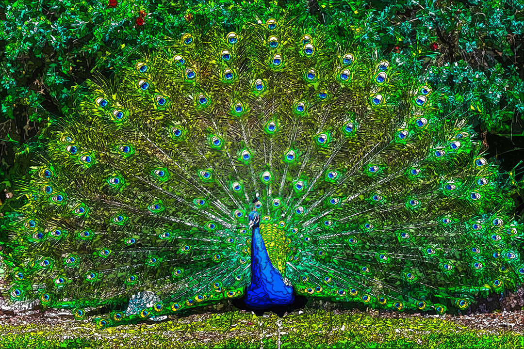 Digital painting of a peacock in full display with green and blue eyespot feathers fanned across the frame.