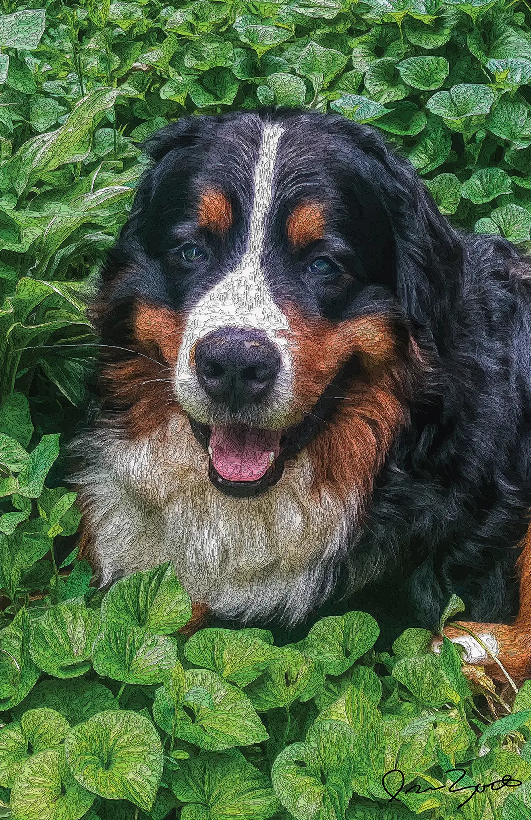 Textured digital painting of a Bernese mountain dog surrounded by bright green ivy leaves with incised outlines.
