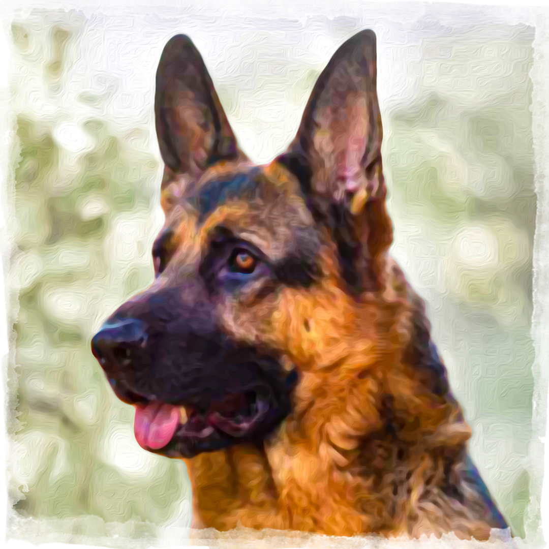 Digital painting of an alert German shepherd with tan and black swirling coat strokes against a soft green blurred garden.