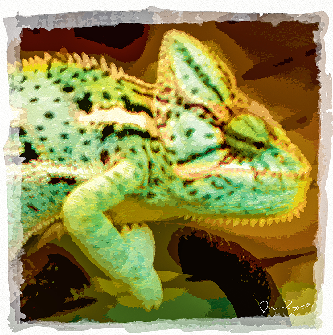 Digital painting of a veiled chameleon in flat mint and chartreuse fields with dark spots and a gold saw-tooth crest against amber and black.
