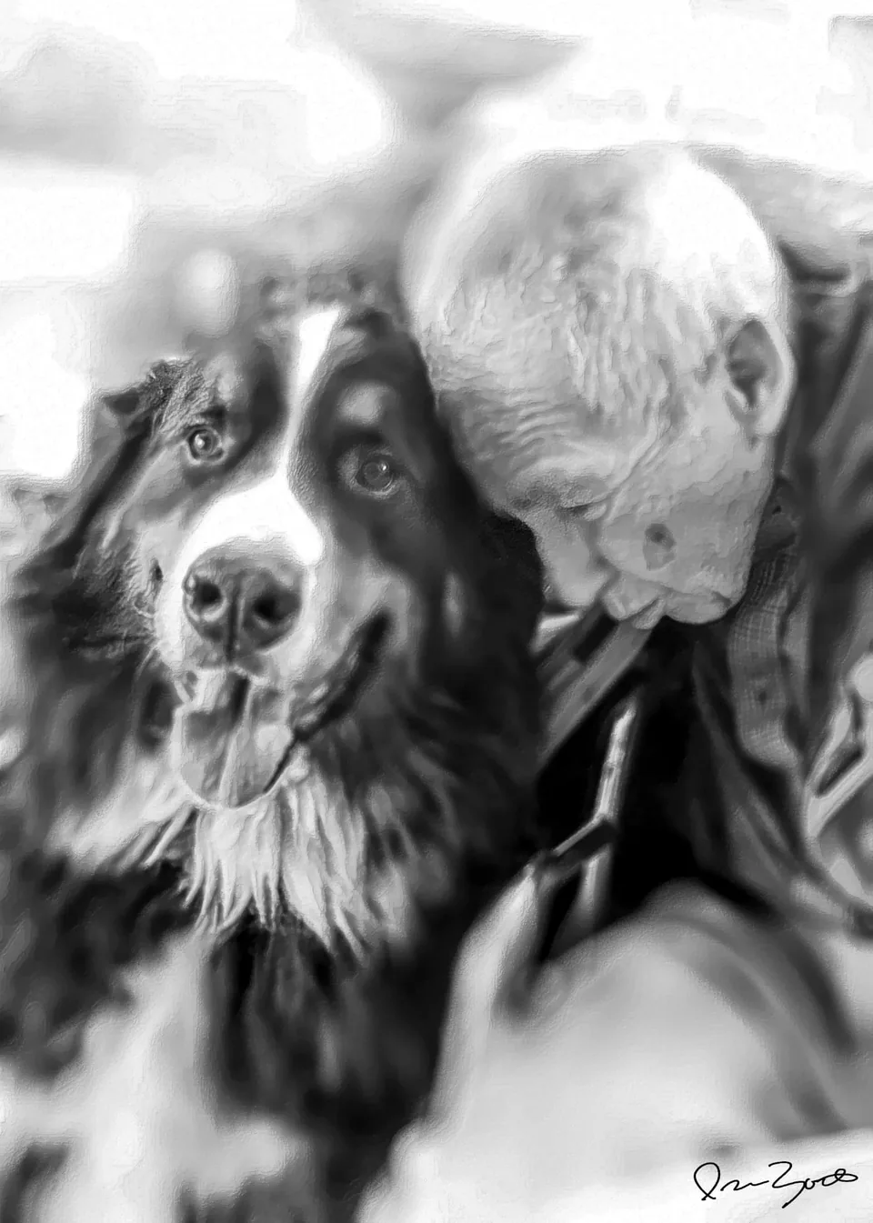 Black and white photograph of an elderly man leaning toward a Bernese mountain dog who looks at the camera.