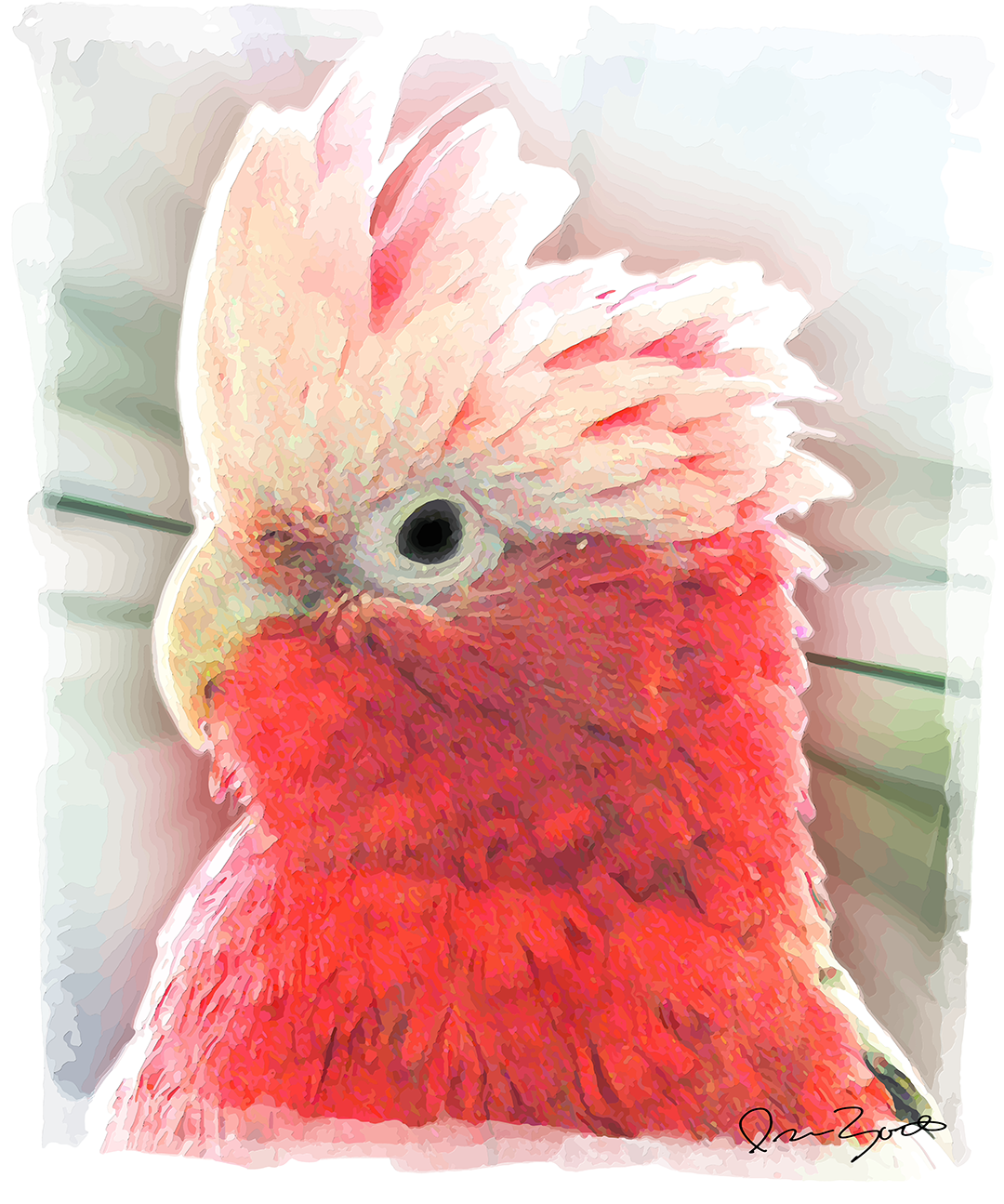 Digital painting of a galah cockatoo with a pale peach crest and dense scarlet breast feathers against soft grey-green washes.
